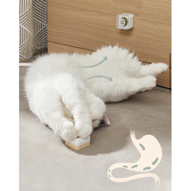 [SG Stock] soft zoo high ball catnip cat snack catmint
