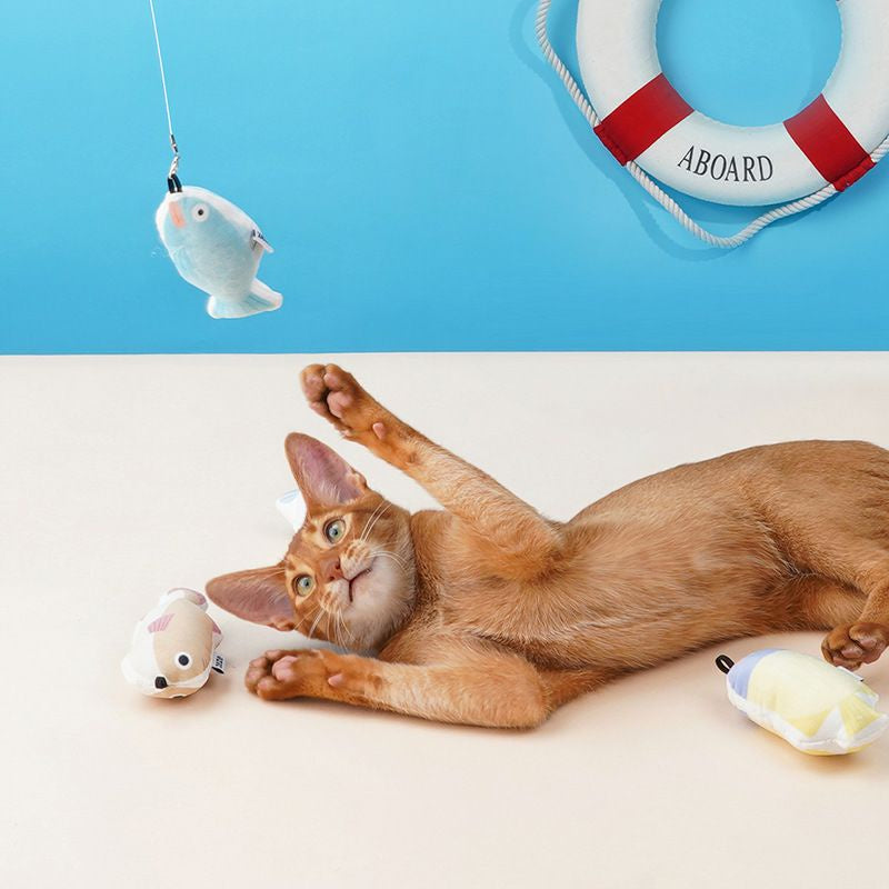 [SG Stock] Zeze cat teaser retractable handle fishing pet toy with catnip