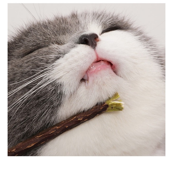 TinyPet catnip lollipop toy with bell biting pet toy