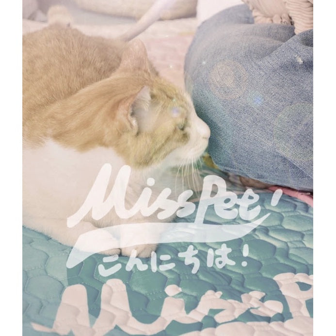 [SG Stock] Misspet pet rug carpet cat sleeping pad