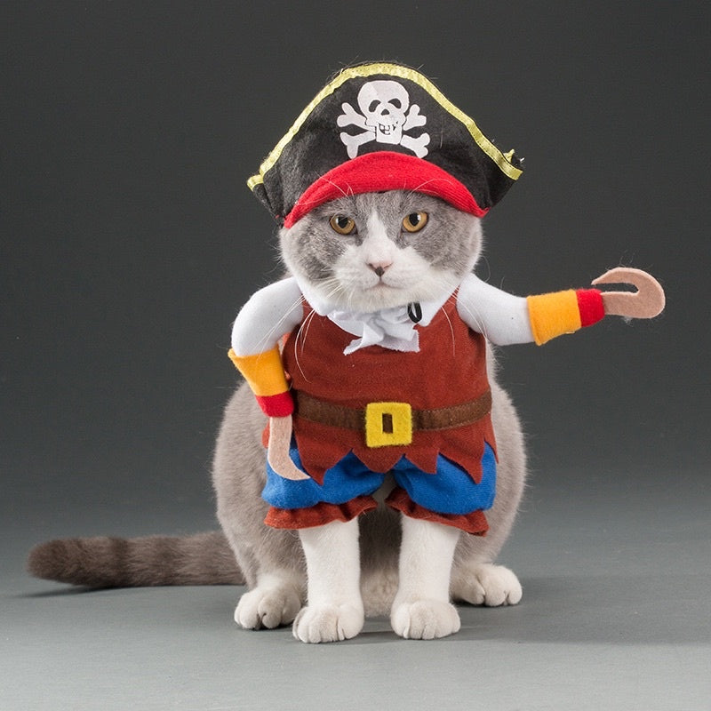 [SG Stock] Pet Halloween 👻 costume cat dog cute cloth photo shoots accessories
