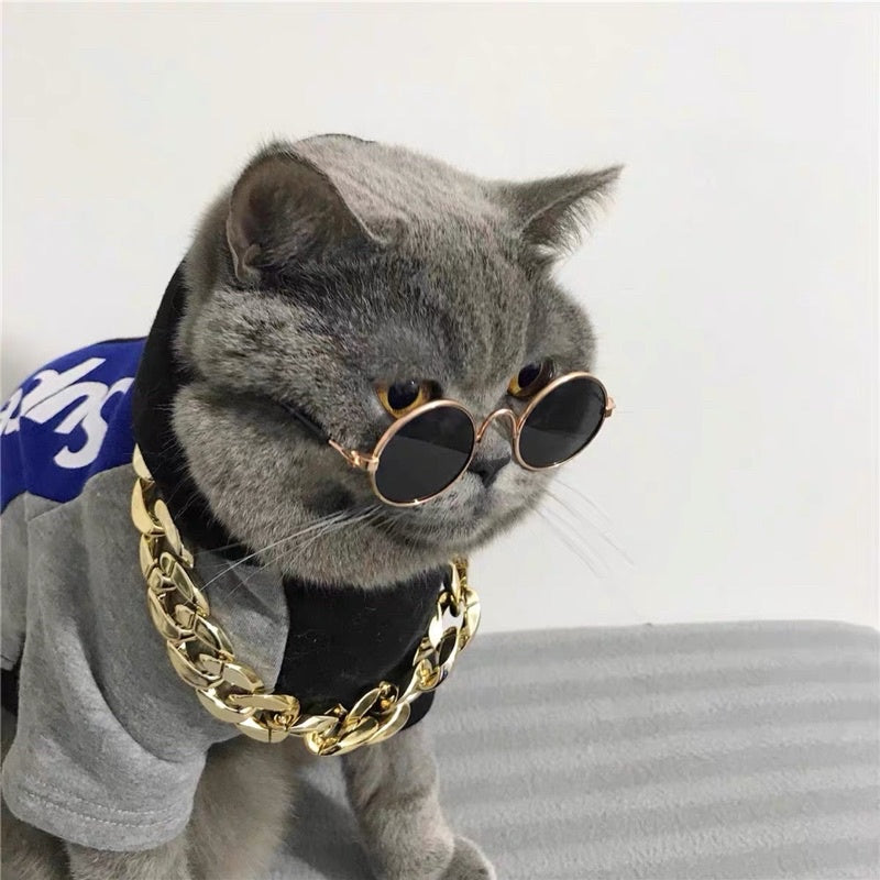 [SG Stock] Cat photo shooting props glasses 👓 fun toy