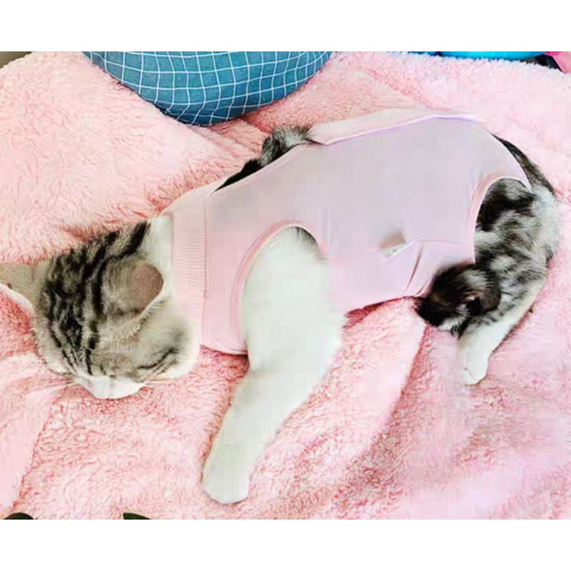[SG] Pet Cat surgery suit cloth for recovery from sterilization skin issue prevent licking