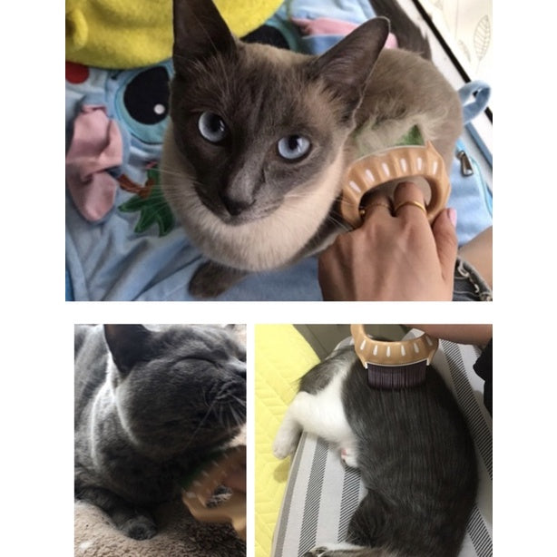 [SG Stock] Pet brush grooming cat shell hair removal