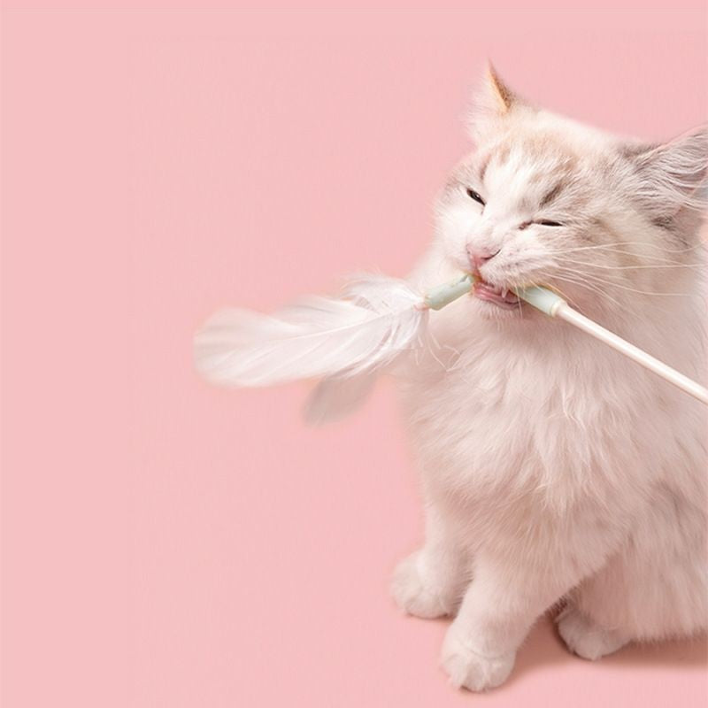 [SG] soft zoo cat teaser with feather fluffy ball and tassel muti-funtion replaceable