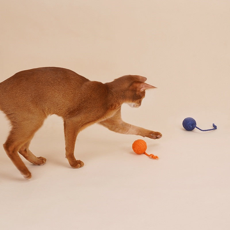 [SG Stock] Zeze cat sisal rope ball chaser pet toy multi color