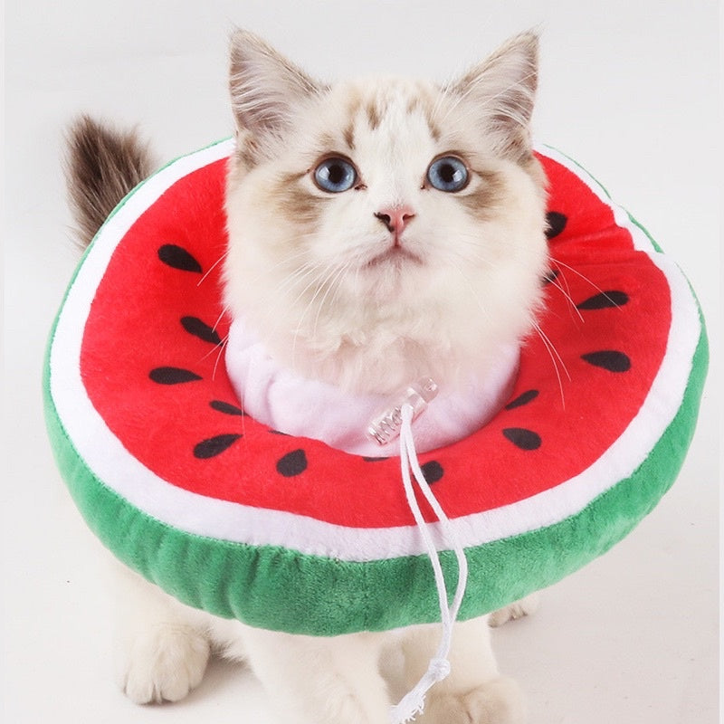 [SG Stock] Pet E collar Elizabeth cone soft fruit design cat dog anti licking collar