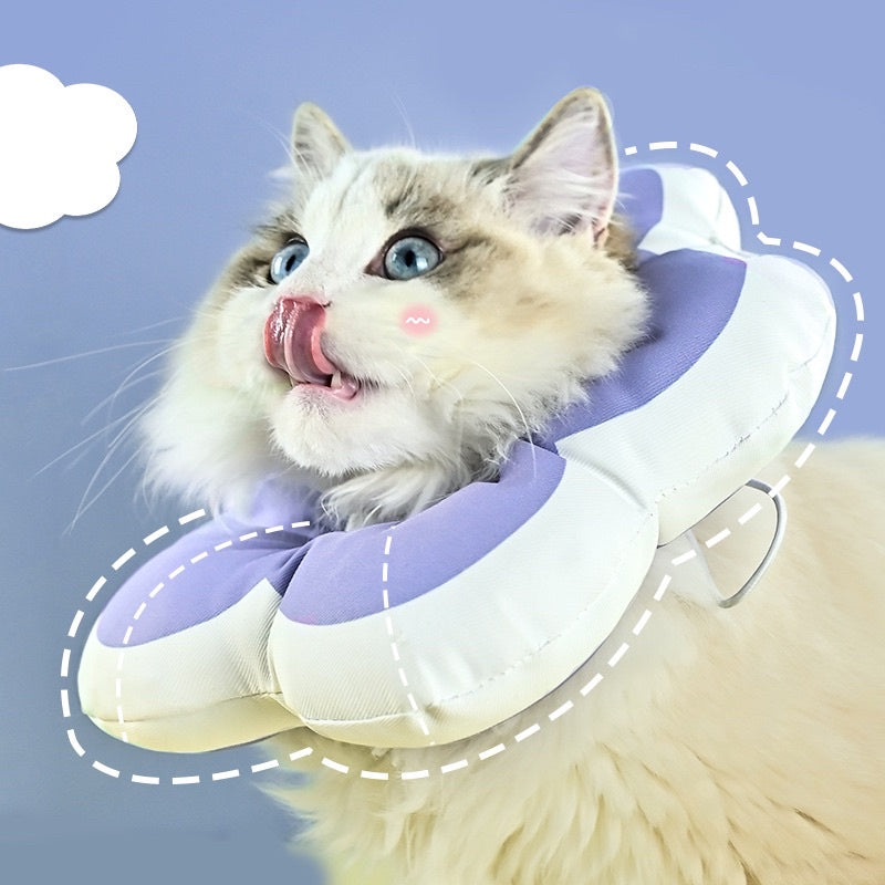 [SG Stock] Pet E collar Elizabeth cone water proof prevent licking surgery healing soft anti bite sunflower 🌻