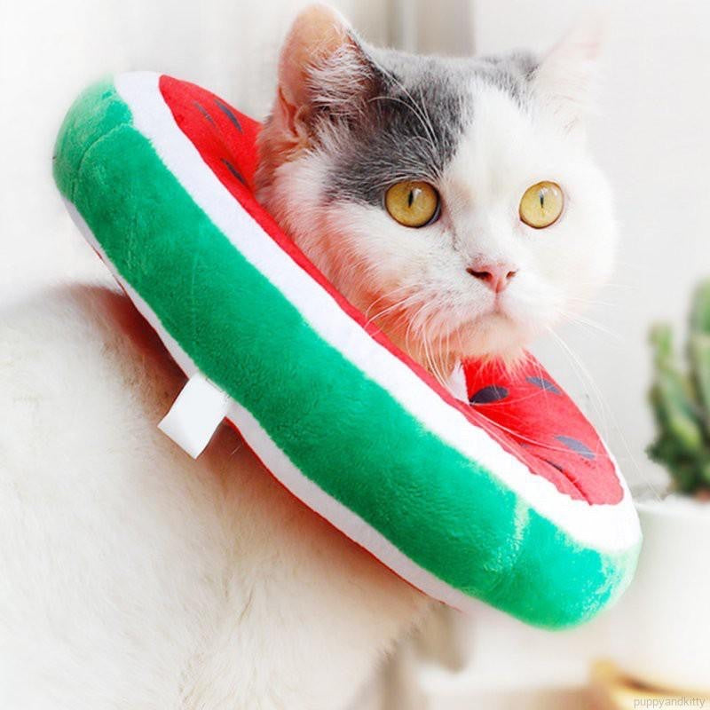 [SG Stock] Pet E collar Elizabeth cone soft fruit design cat dog anti licking collar
