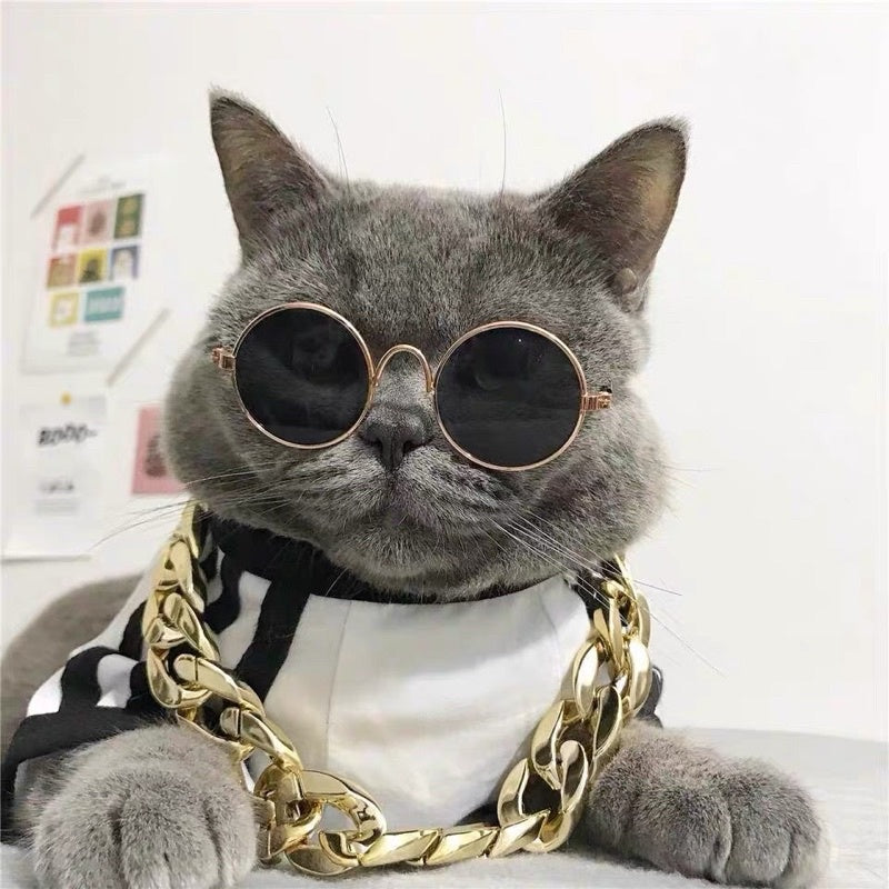 [SG Stock] Cat photo shooting props glasses 👓 fun toy