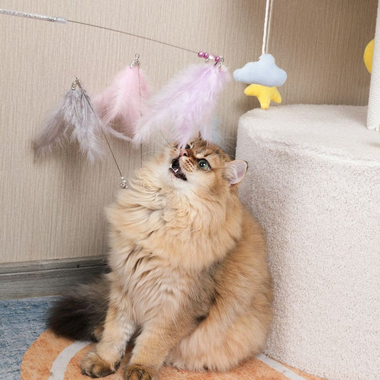 [SG] Cat teaser feather 50cm pet toy with bell