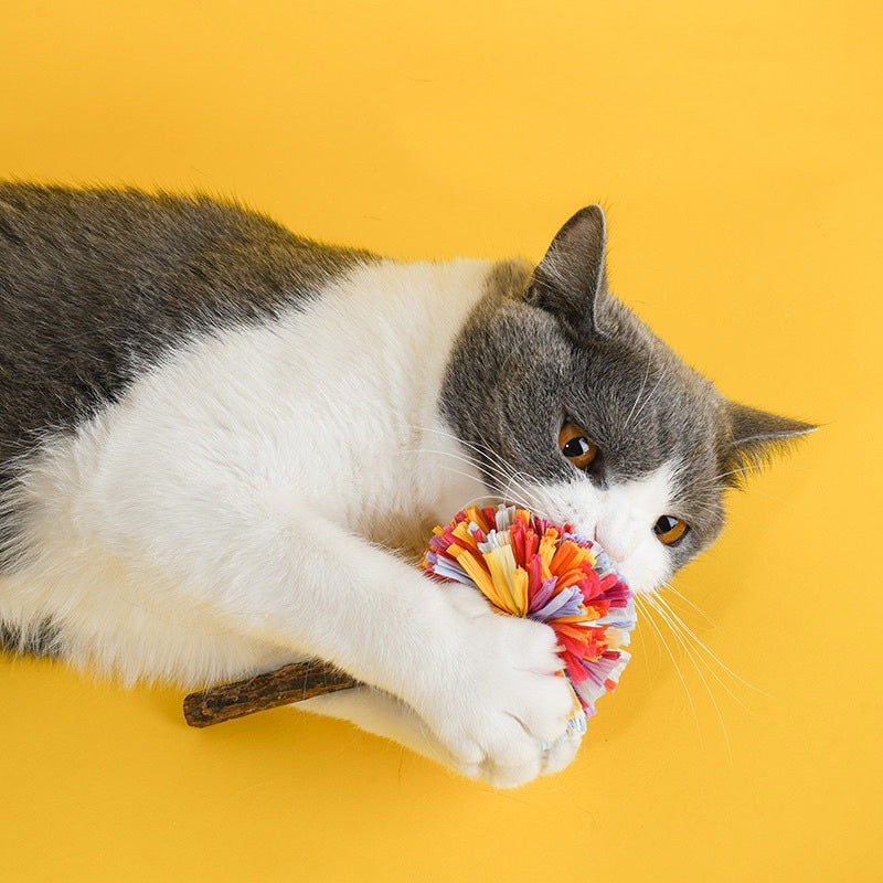 Zeze raffia Catnip lollipop toy cat teaser pet snack