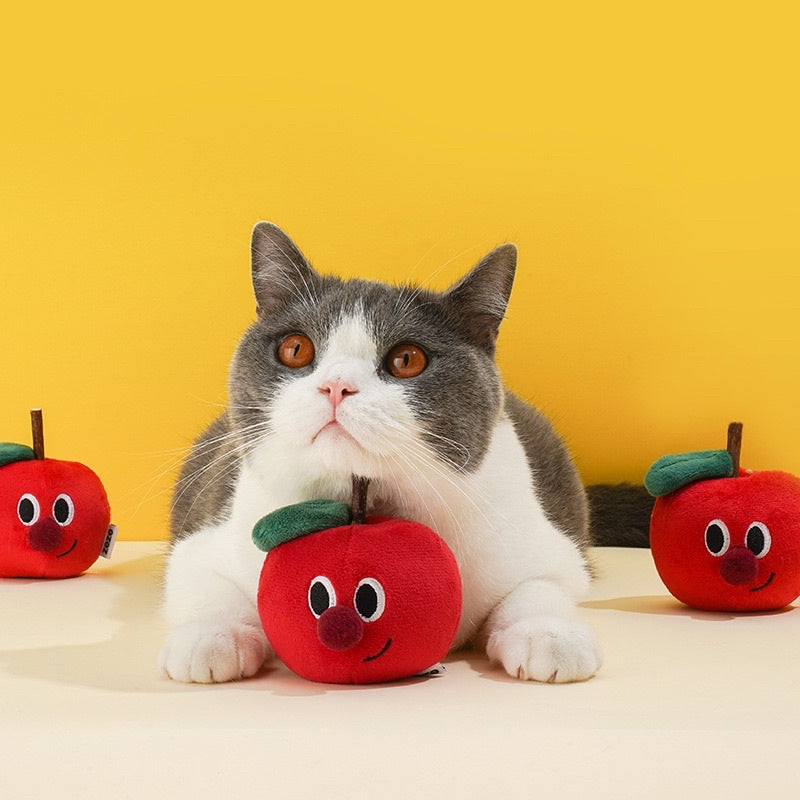 Zeze fruit 🍎  cat toys with catnip apple orange 🍊 chasing pet toy
