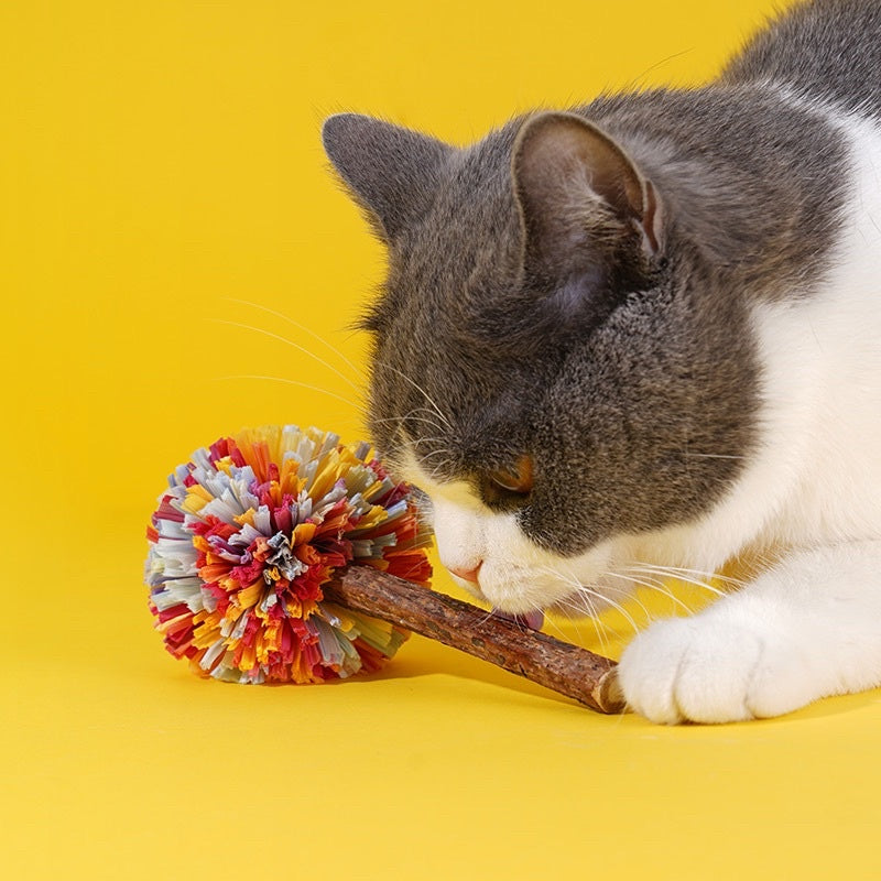 Zeze raffia Catnip lollipop toy cat teaser pet snack