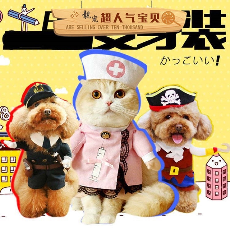 [SG Stock] Pet Halloween 👻 costume cat dog cute cloth photo shoots accessories