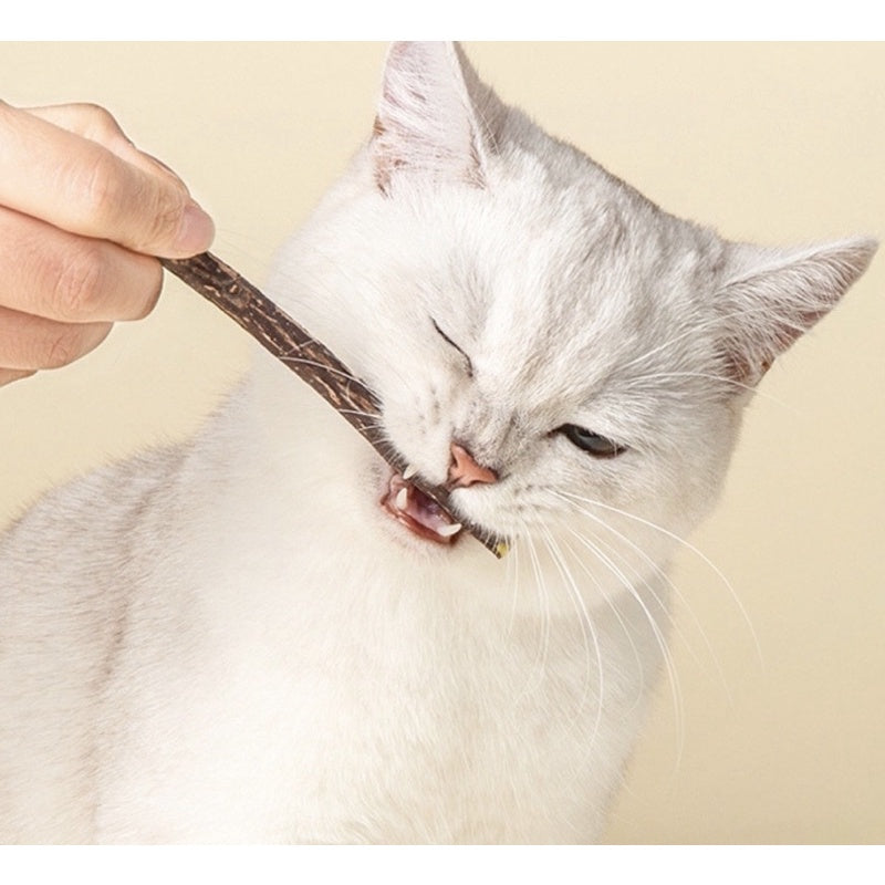 Catnip bar catmint cat snack teeth cleaning stick biting toy