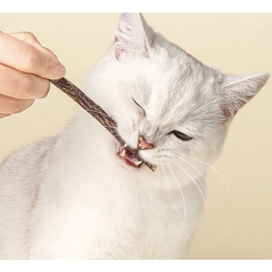 Catnip bar catmint cat snack teeth cleaning stick biting toy