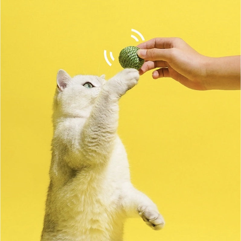 Zeze green peas bean 🫘 cat toy sisal ball with sound