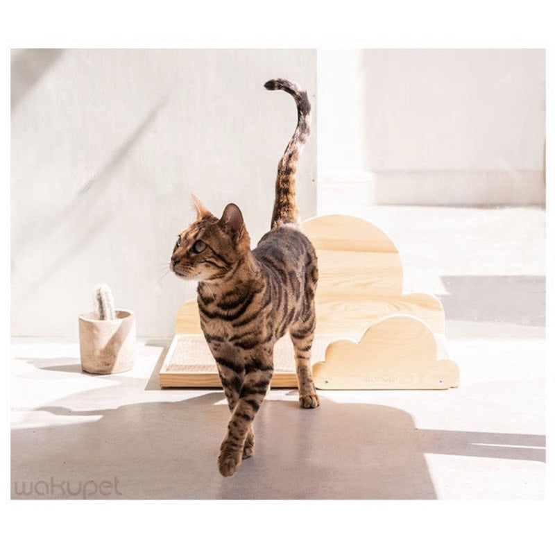 Wakupet wooden cloud ☁️ scratcher cat scratch board pet toy bed