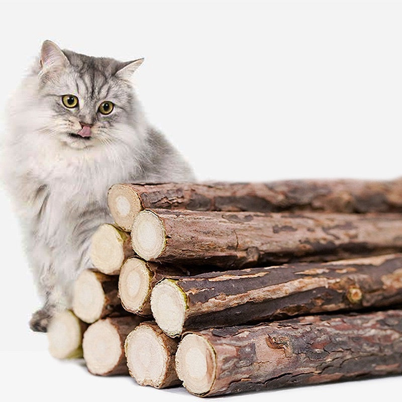 Catnip bar catmint cat snack teeth cleaning stick biting toy