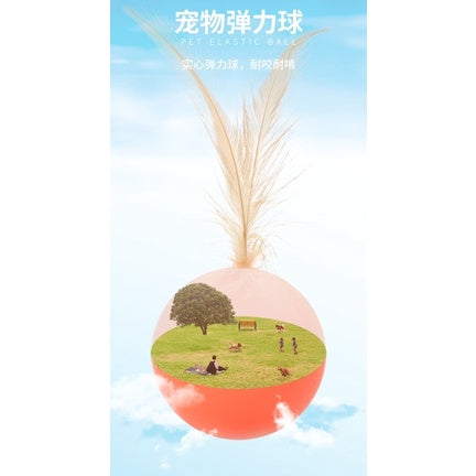 Cat toy chaser bouncing ball with feather 2.5cm pet toy