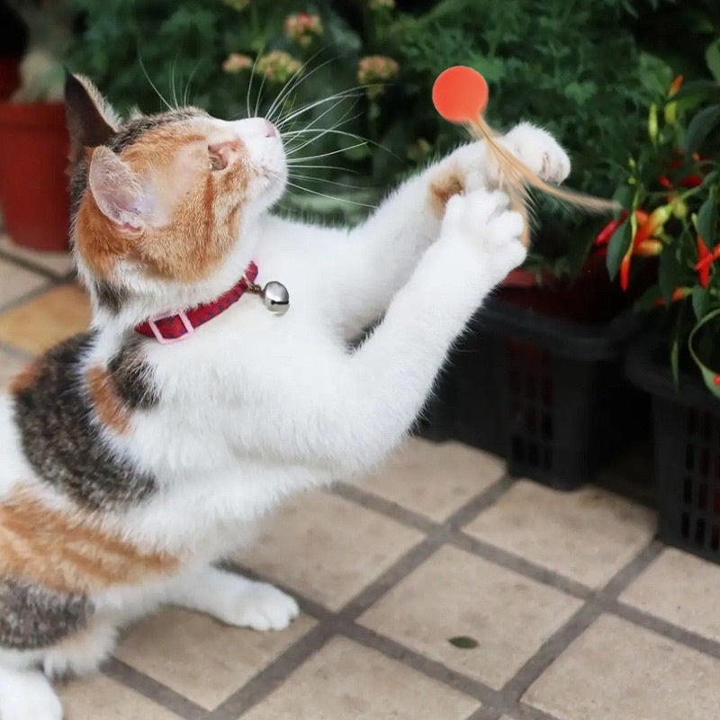 Cat toy chaser bouncing ball with feather 2.5cm pet toy