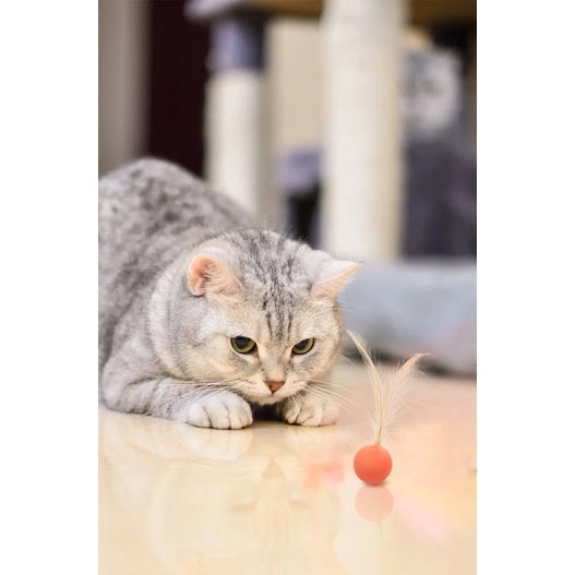 Cat toy chaser bouncing ball with feather 2.5cm pet toy