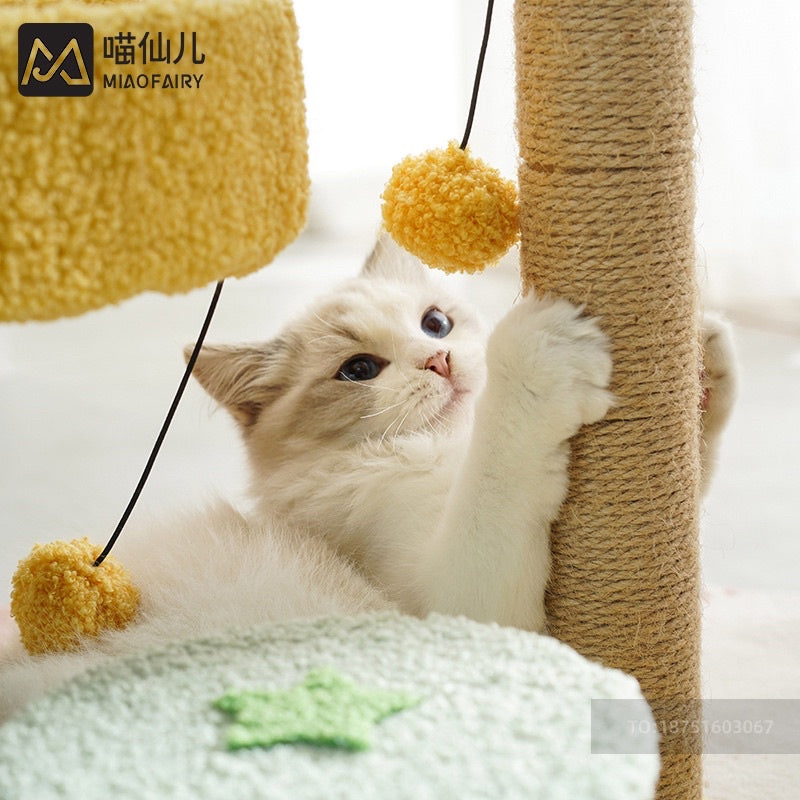 MeowFairy cactus 🌵 small cat climbing tree post scratch post scratcher