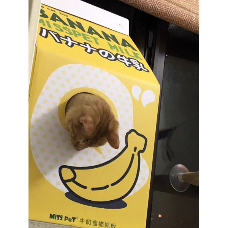 Misspet scratching board milk box sleeping bed for kitten cat pet toy house
