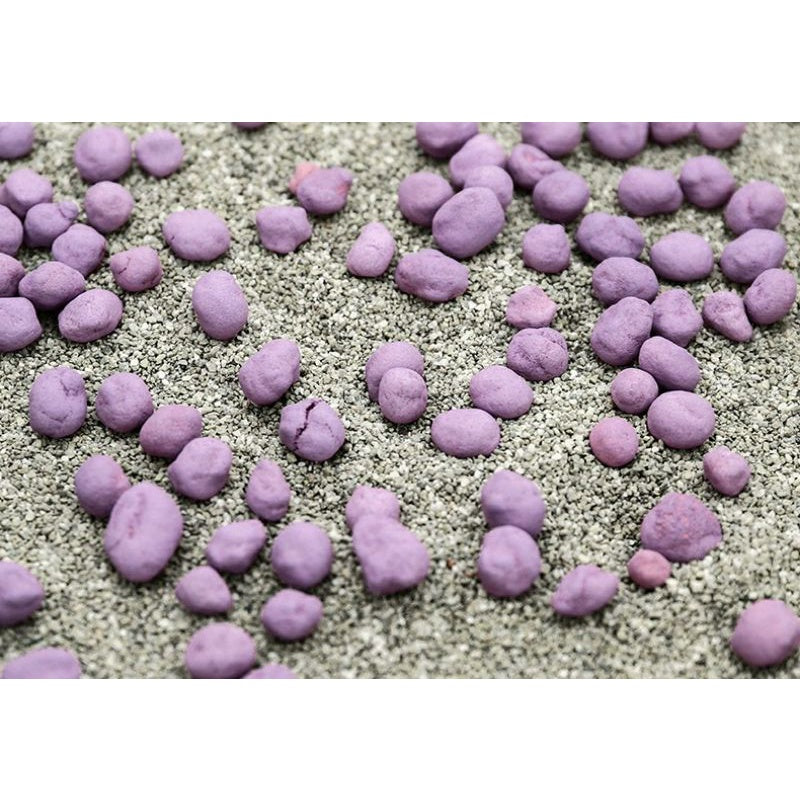 [SG Stock] Kojima Cat litter odor remover deordorizer tablet