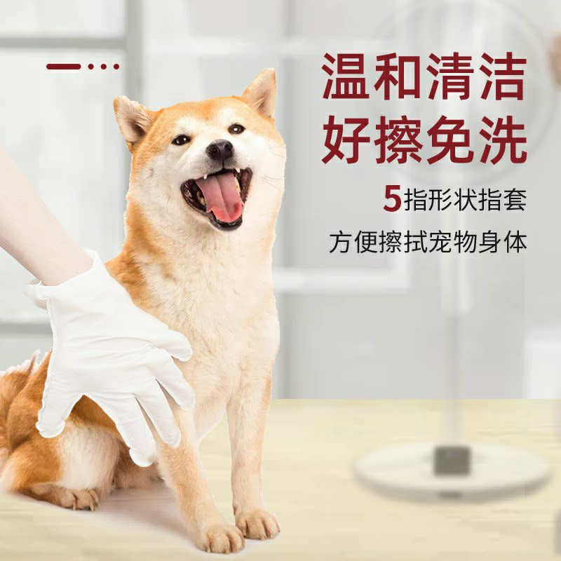 [SG stock] Kojima Pet Wipe tissue 80's cat dog cleaner gloves 6's