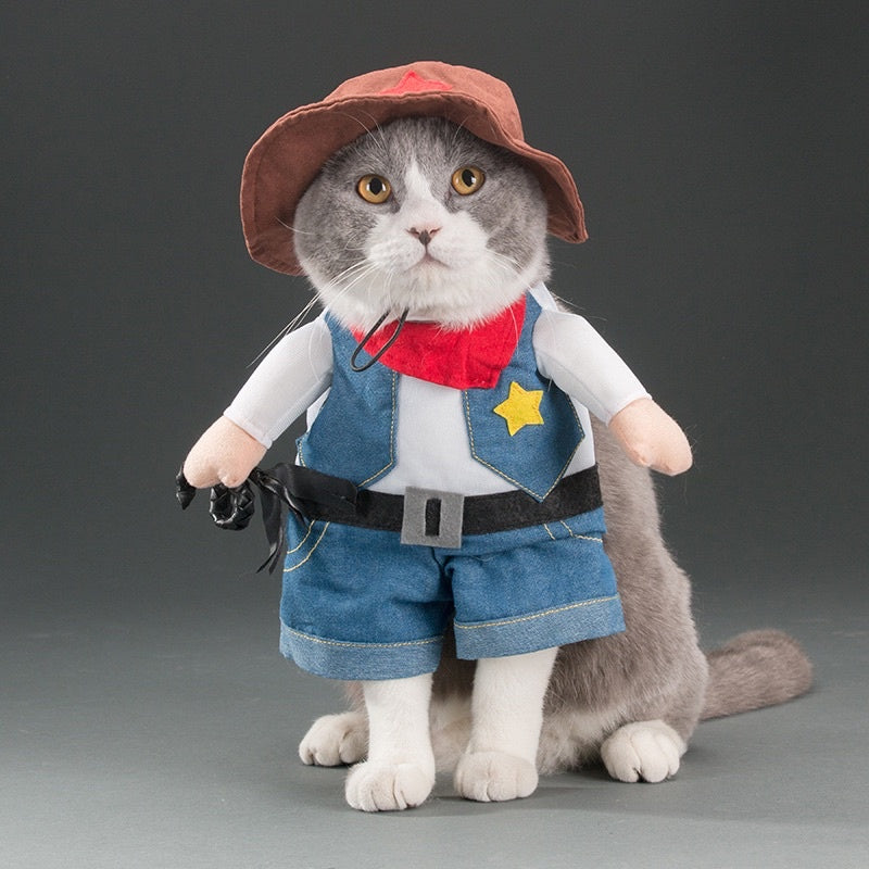 [SG Stock] Pet Halloween 👻 costume cat dog cute cloth photo shoots accessories