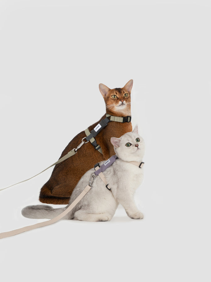 Hi-Dream Valley Series Light Cat Gear Walking Leash Adjustable Light Collar Rope