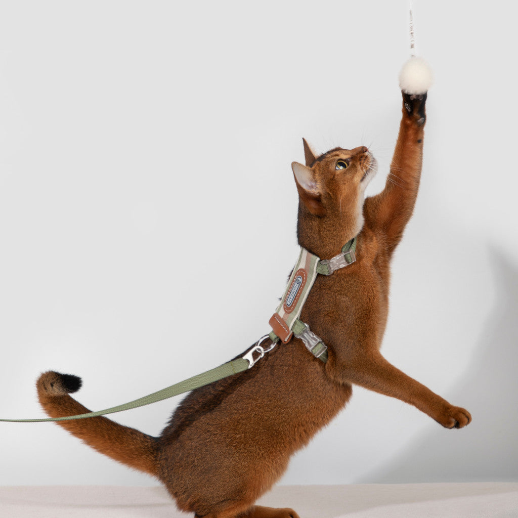 Hi-Dream Harness for Cat Light Weight Collar Leash Walking Rope Adjustable Anti-Escape