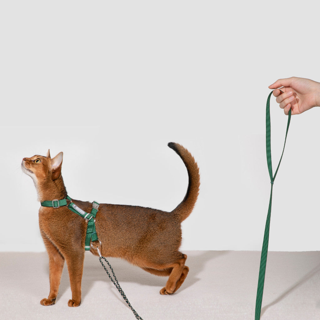 Hi-Dream BoBo Classic Cat Leash Collar Harness Walking Rope Light Weight Spliced Nylon Cat Vest Set