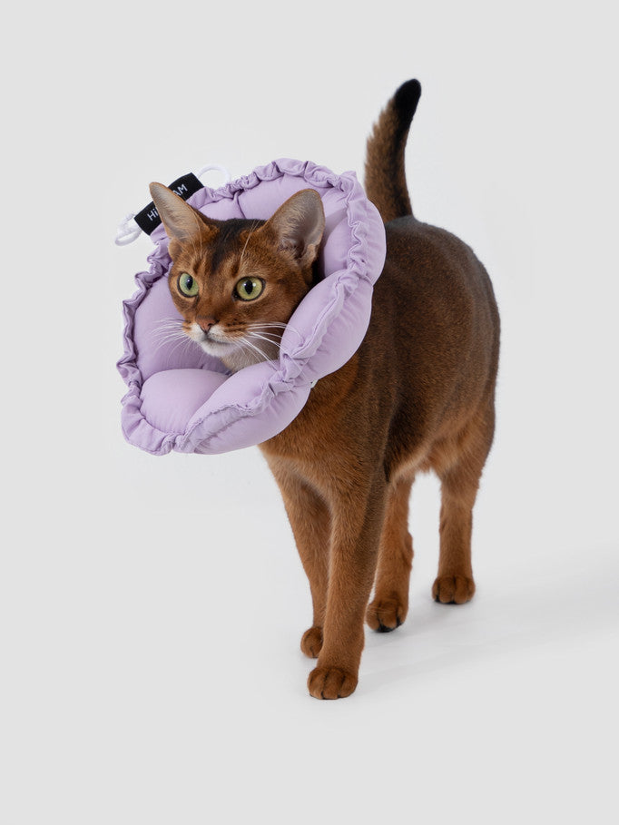 Hi-Dream Pet Adjustable Soft Collar E-Cone Post Surgery Light Protection Neck Cat Dog Kitten Puppy