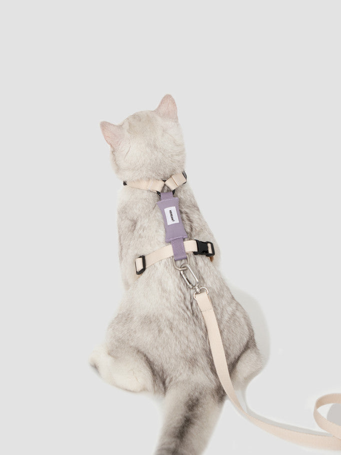 Hi-Dream Valley Series Light Cat Gear Walking Leash Adjustable Light Collar Rope