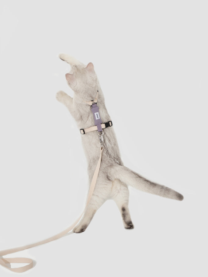 Hi-Dream Valley Series Light Cat Gear Walking Leash Adjustable Light Collar Rope