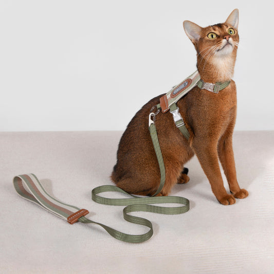 Hi-Dream Harness for Cat Light Weight Collar Leash Walking Rope Adjustable Anti-Escape