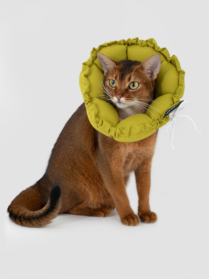 Hi-Dream Pet Adjustable Soft Collar E-Cone Post Surgery Light Protection Neck Cat Dog Kitten Puppy
