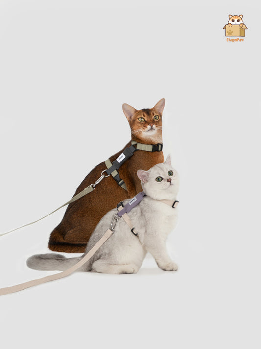 Hi-Dream Valley Series Light Cat Gear Walking Leash Adjustable Light Collar Rope