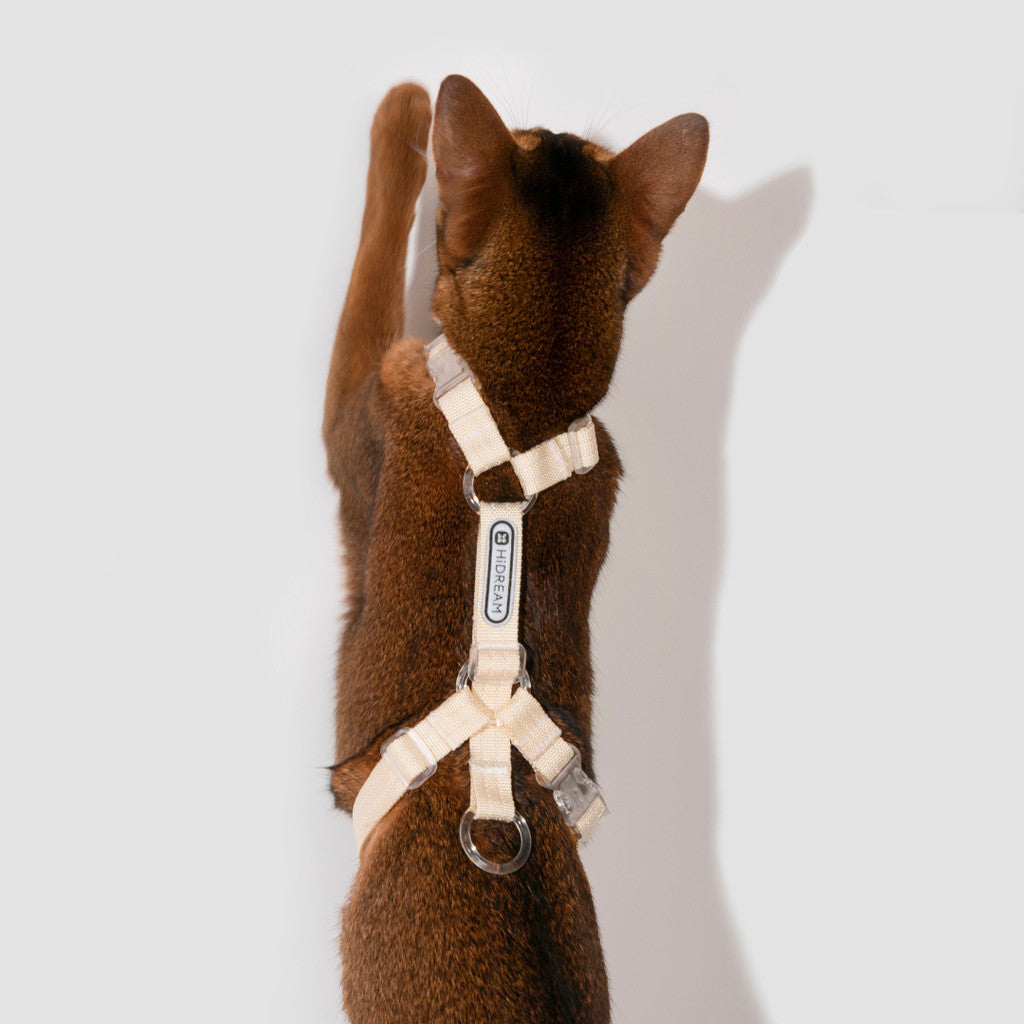 Hi-Dream BoBo Classic Cat Leash Collar Harness Walking Rope Light Weight Spliced Nylon Cat Vest Set
