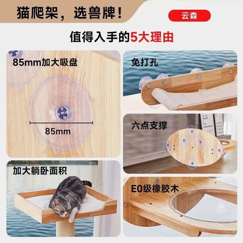 Petsbelle Window Series Cat Scratcher Bed Hammock Suction Pad Pet Tree Furniture Solid Wood