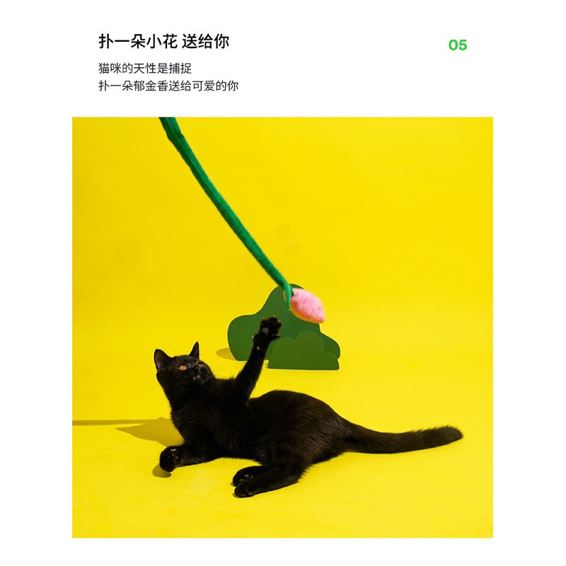 Zeze Cat teaser wand stick 🦯 cat interactive toy with sounding paper