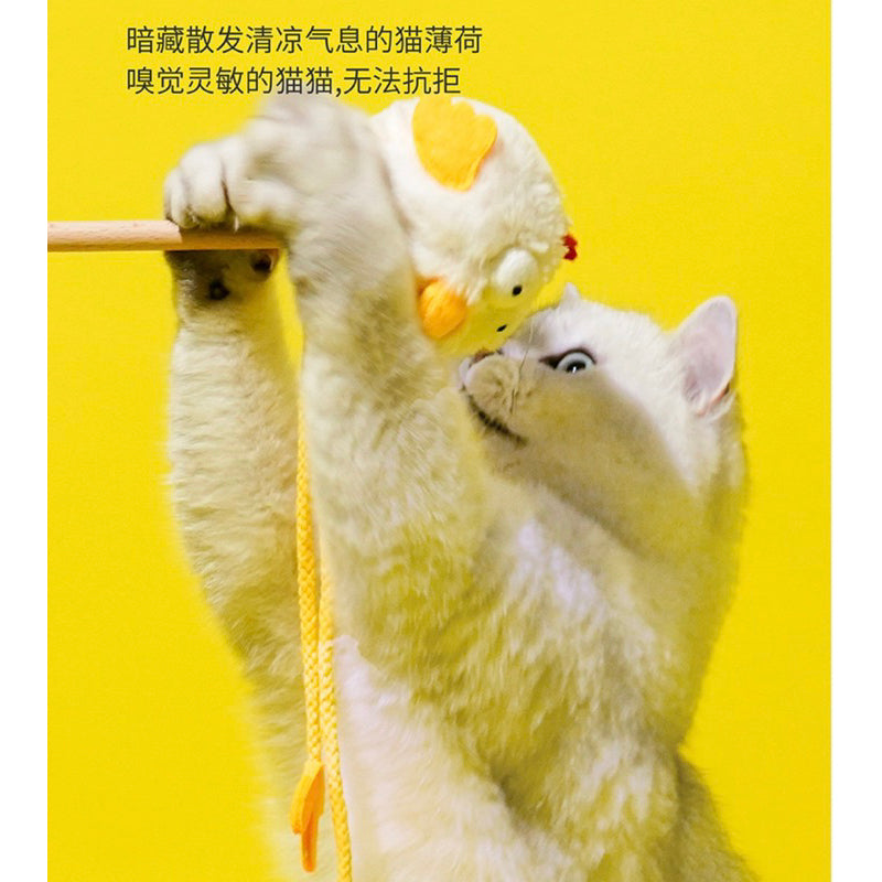 Zeze Chicken 🐔 Cat teaser wand toy pet toy