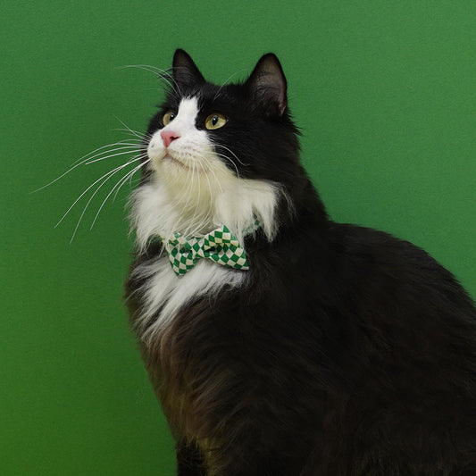 Zeze Pet bowtie bow tie Cat Dog collar necklace yellow green grid