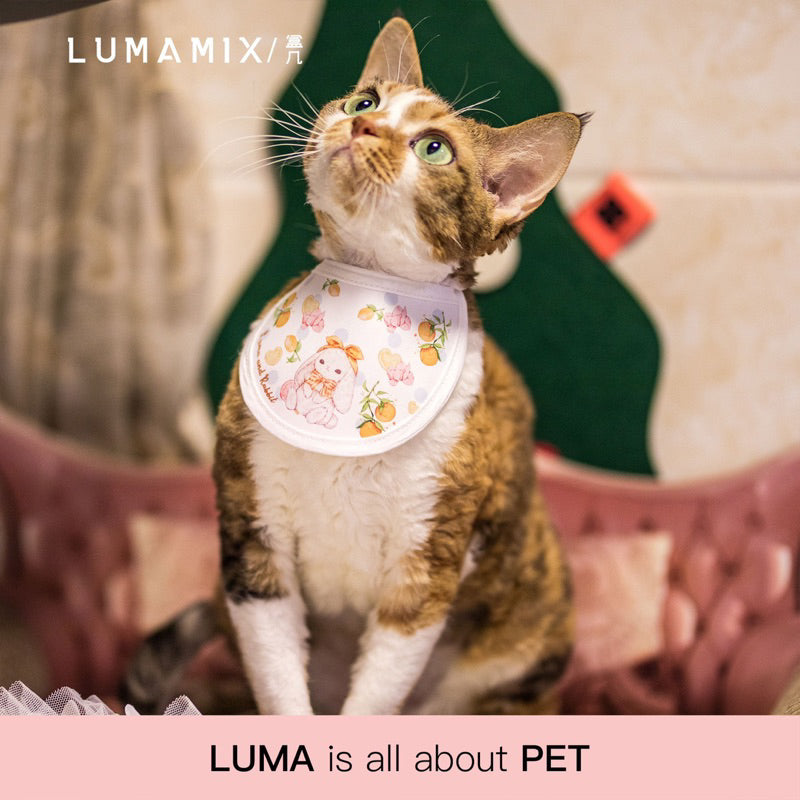 LumaMix Pet Collar Napkin Cat Eating Hair Protector Necklace