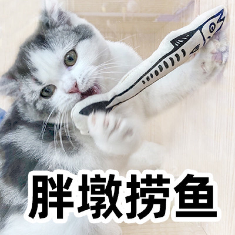 Cat toy catnip fish 🐠 black white design pet chaser
