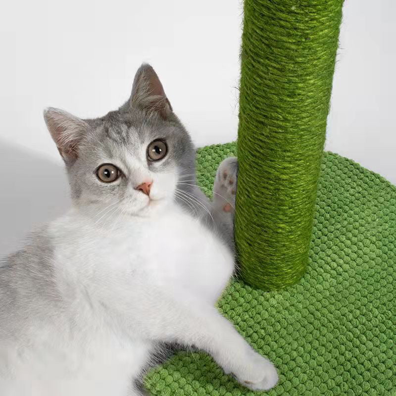 Cat scratcher tree cactus 🌵 sisal post stand pole pet toy scatch board