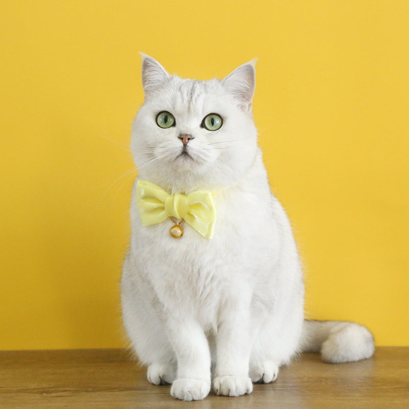 Cat collar dog necklace bow tie pet accessories